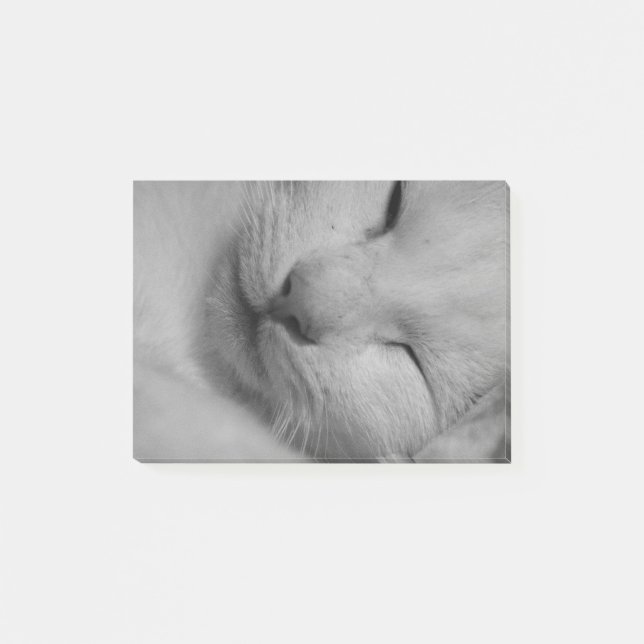 Bloco Post-it Gato (Frente)