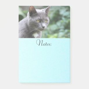 Bloco Post-it Gato de Cinza