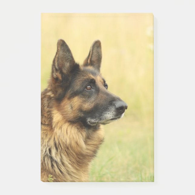 Bloco Post-it German shepherd (Frente)