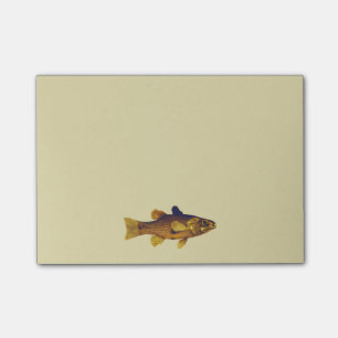 Bloco Post-it Ilustração de Peixes de Água fresca Vintage