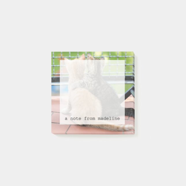 Bloco Post-it Imagens de Getty| Dois gatinhos numa sacada (Frente)