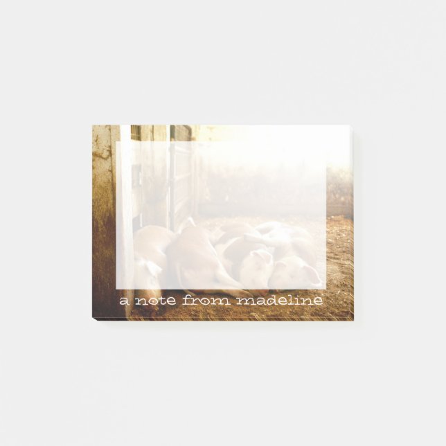 Bloco Post-it Imagens de Getty| Suínos malabaristas (Frente)