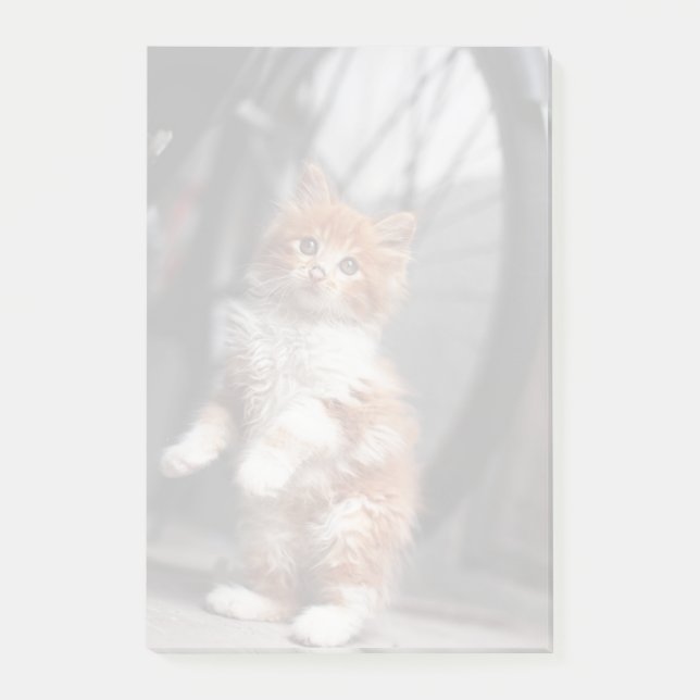 Bloco Post-it Kitten Laranja (Frente)