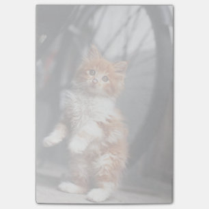 Bloco Post-it Kitten Laranja