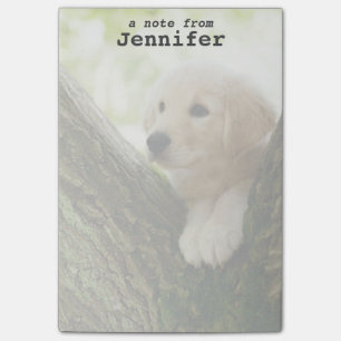 Bloco Post-it Labrador Sentado Em Um Cenário De Woodland