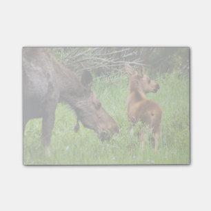 Bloco Post-it Mãe alerta e bebê de dois alces