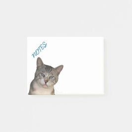 Bloco Post-it Meece Gatinho Com Olhos Azuis