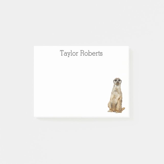 Bloco Post-it Meerkat com seu costume conhecido (Frente)