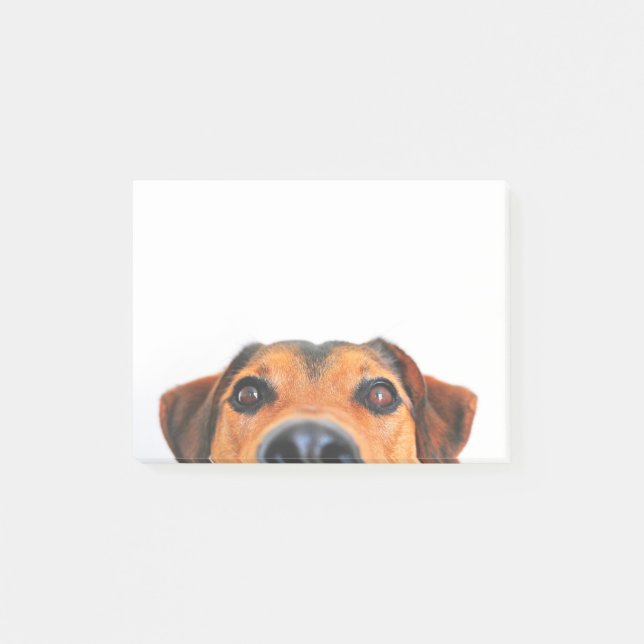 Bloco Post-it Nariz de cão bonito horizontal (Frente)