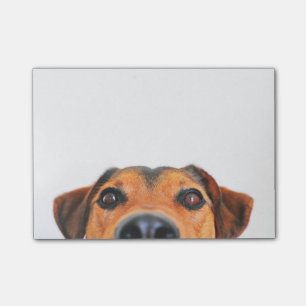 Bloco Post-it Nariz de cão bonito horizontal
