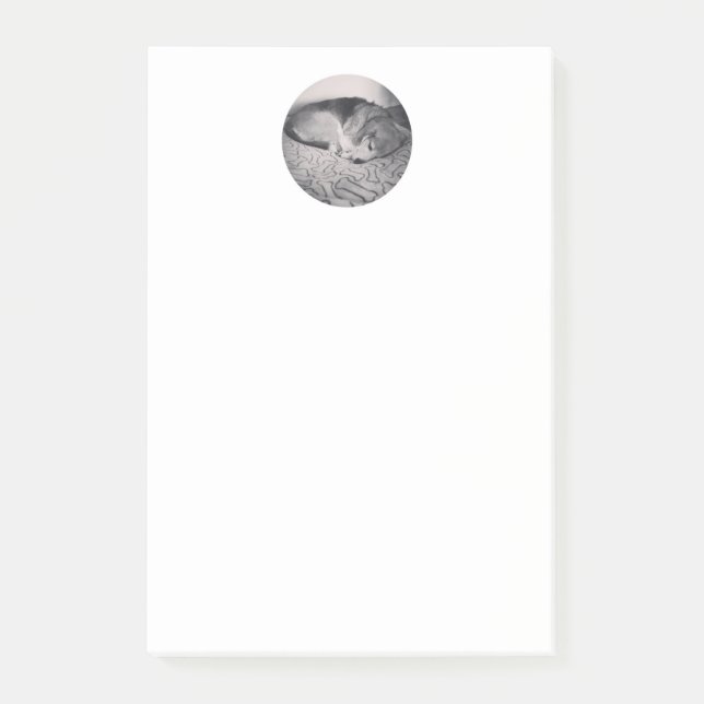 Bloco Post-it nota de post-it do lebreiro (Frente)