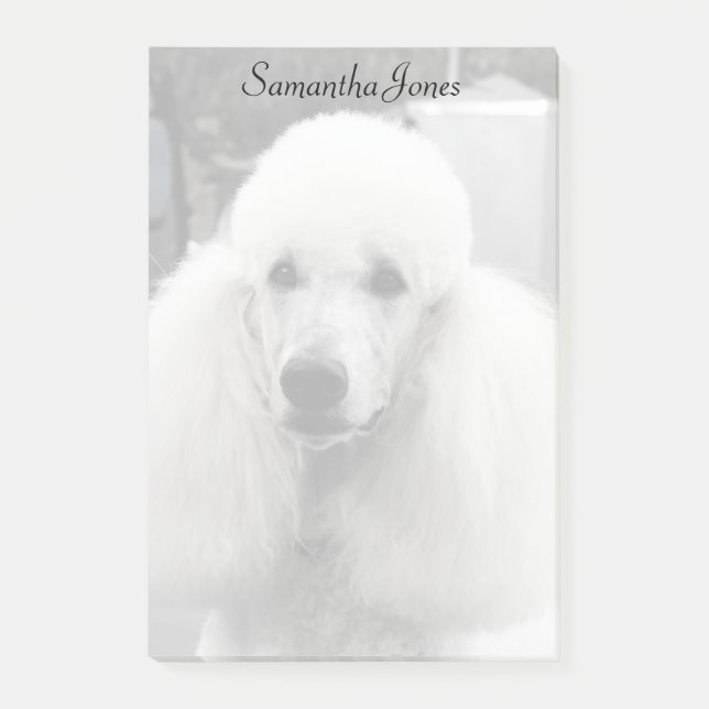 Bloco Post-it Notas de post-it do cão de caniche (Frente)