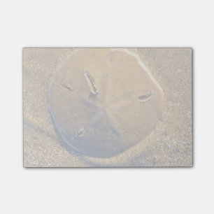 Bloco Post-it O dólar de areia revelou na praia Hilton Head