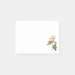 Bloco Post-it o perfumer aumentou por Redouté