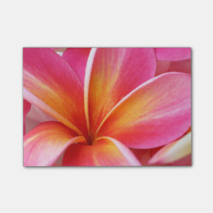 Bloco Post-it O Plumeria floresce a flor floral do Frangipani