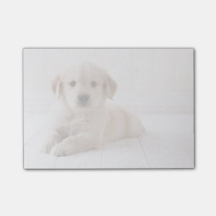Bloco Post-it Ouro Retriever Deitado