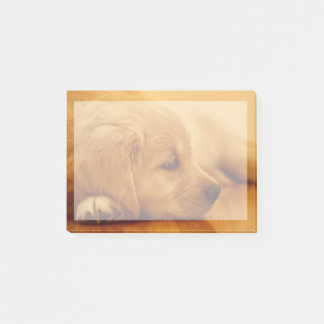 Bloco Post-it Ouro Retriever Puppy