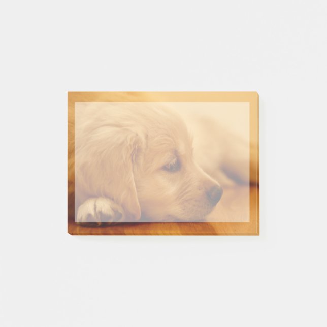 Bloco Post-it Ouro Retriever Puppy (Frente)