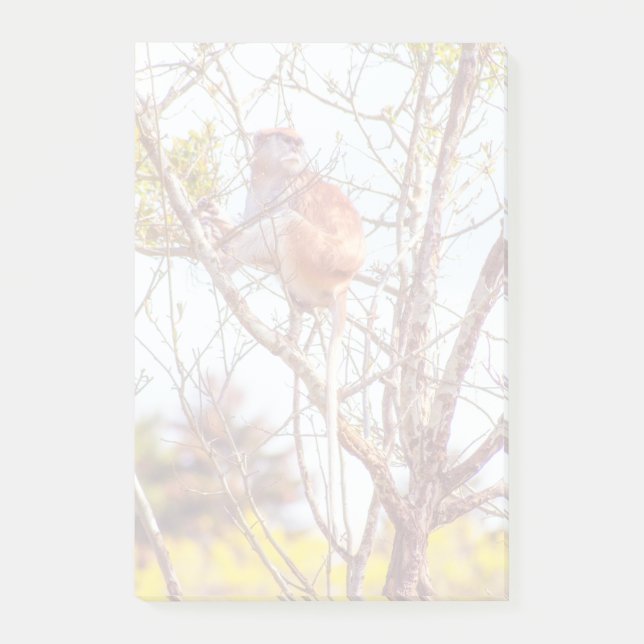 Bloco Post-it Patas é uma árvore (Frente)