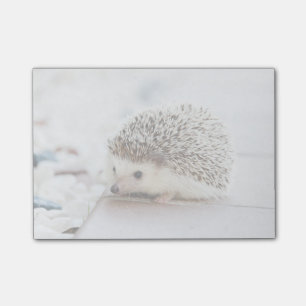 Bloco Post-it Pequeno porco