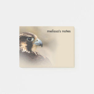 Bloco Post-it Perfil Vignetado de um Falcão Peregrino
