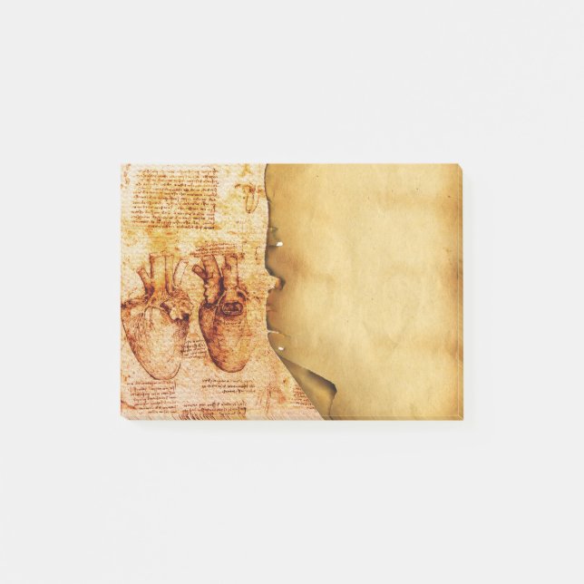 Bloco Post-it Pergaminho Médico Do Coração E Seus Vasos Sanguíne (Frente)