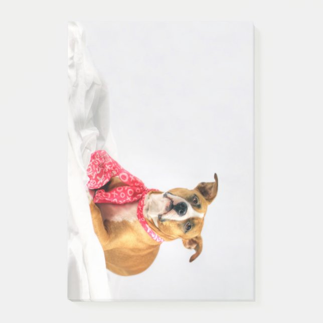 Bloco Post-it Pit Bull Puppy Love in Pink XOXO (Frente)