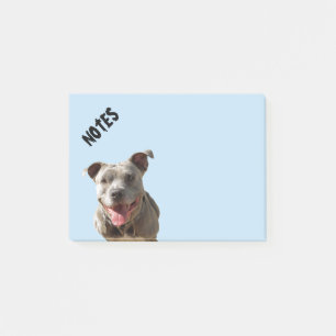Bloco Post-it Pitbull de sorriso feliz