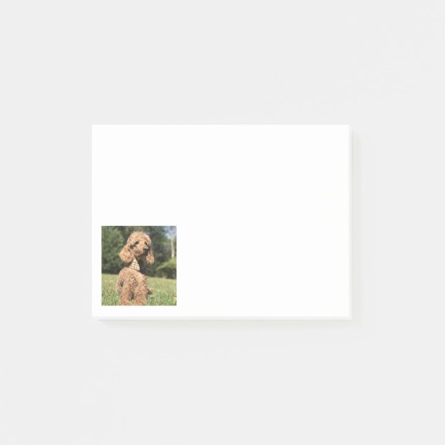 Bloco Post-it Poodle Apricot Personalizável (Frente)
