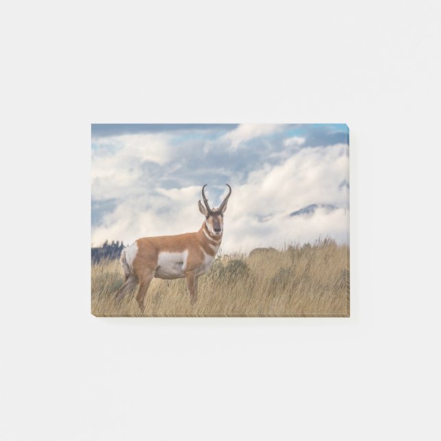 Bloco Post-it Pronghorn impressionante (Frente)
