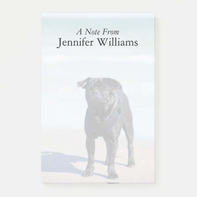 Bloco Post-it Pug preto que está na praia (Frente)