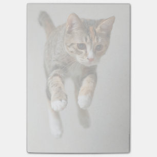 Bloco Post-it Salto do gato de chita