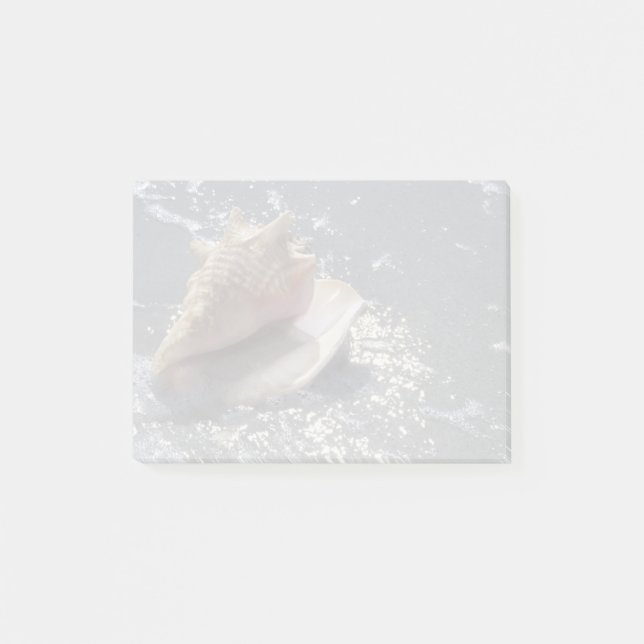 Bloco Post-it Seashell na ilha da praia | Sanibel, Florida (Frente)