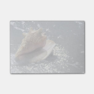 Bloco Post-it Seashell na ilha da praia   Sanibel, Florida