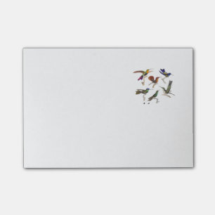 Bloco Post-it Seis colibris coloridos