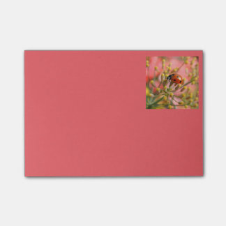 Bloco Post-it Senhora Desinsetar Nota