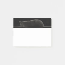 Silhouette de Gato Dormente