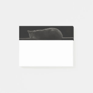 Bloco Post-it Silhueta do gato do sono