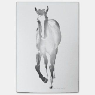 Bloco Post-it Sombra do cavalo
