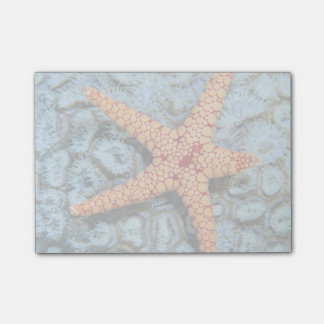 Bloco Post-it Starfish Num Coral Com Polipes