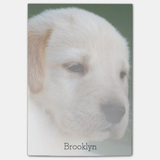 Bloco Post-it Sua foto automaticamente desvanece-se gradualmente