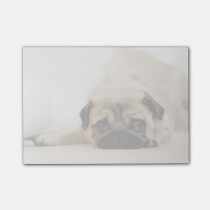 Bloco Post-it Tan Female Pug