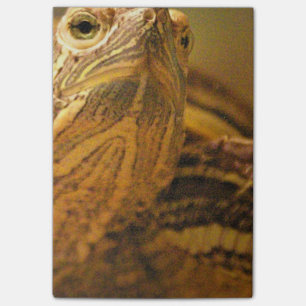 Bloco Post-it Tartaruga