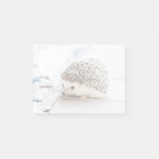 Bloco Post-it Tiny Hedgehog (Frente)