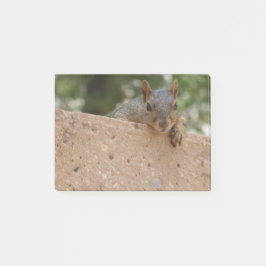 Bloco Post-it Um Nut (Nota) para você Postar-