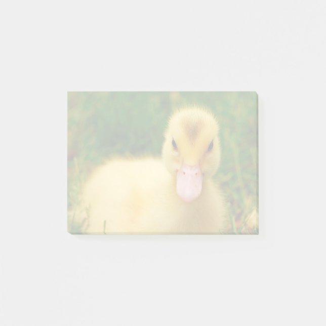 Bloco Post-it Um Pequeno Ducking (Frente)