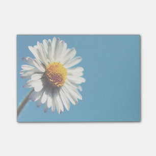 Bloco Post-it Uma margarida branca brilhante sob um céu azul gr