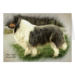 Blocos de Cartões de Arte de Collie Rough Blue Mer
