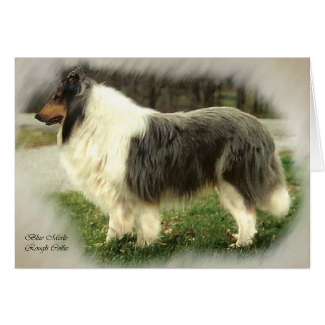 Blocos de Cartões de Arte de Collie Rough Blue Mer (Frente horizontal)