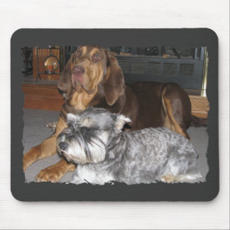 Bloodhound e schnauzer diminuto Mousepad